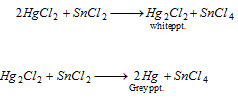 1273_wet test for basic radical9.png